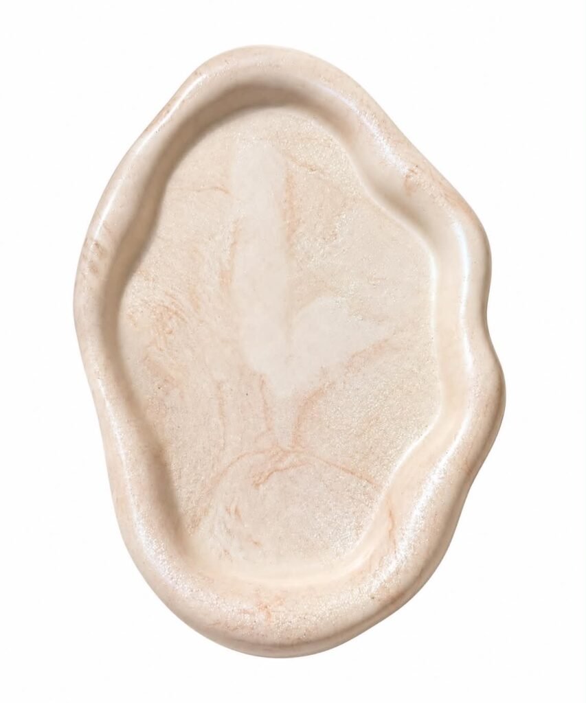 Δίσκος porcelain